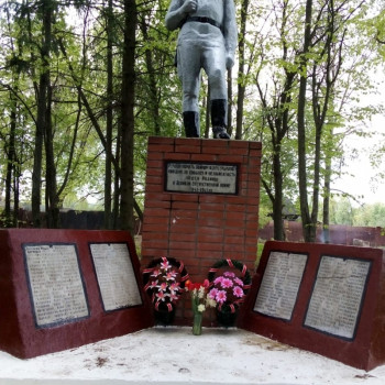 Возложение цветов на памятнике в д. Тормино